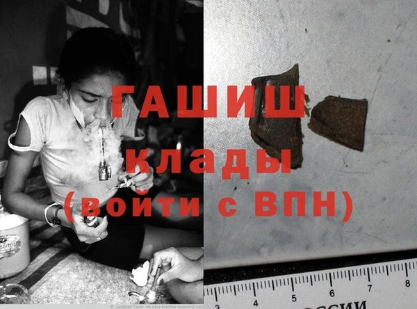 шишки Белокуриха