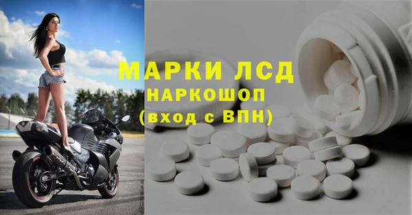 PSILOCYBIN Аркадак
