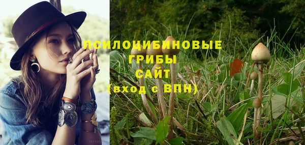 молекула духа Покров