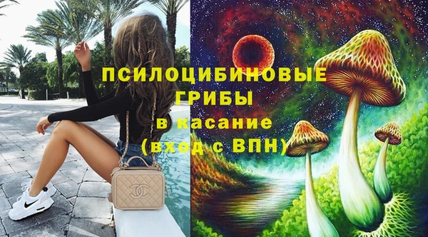 шишки Белокуриха