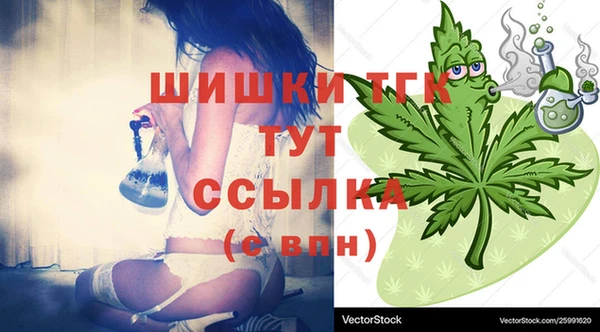 молекула духа Покров