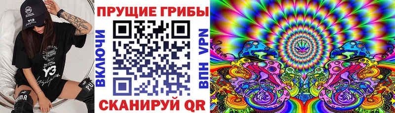 наркота  Кимры  Галлюциногенные грибы прущие грибы 